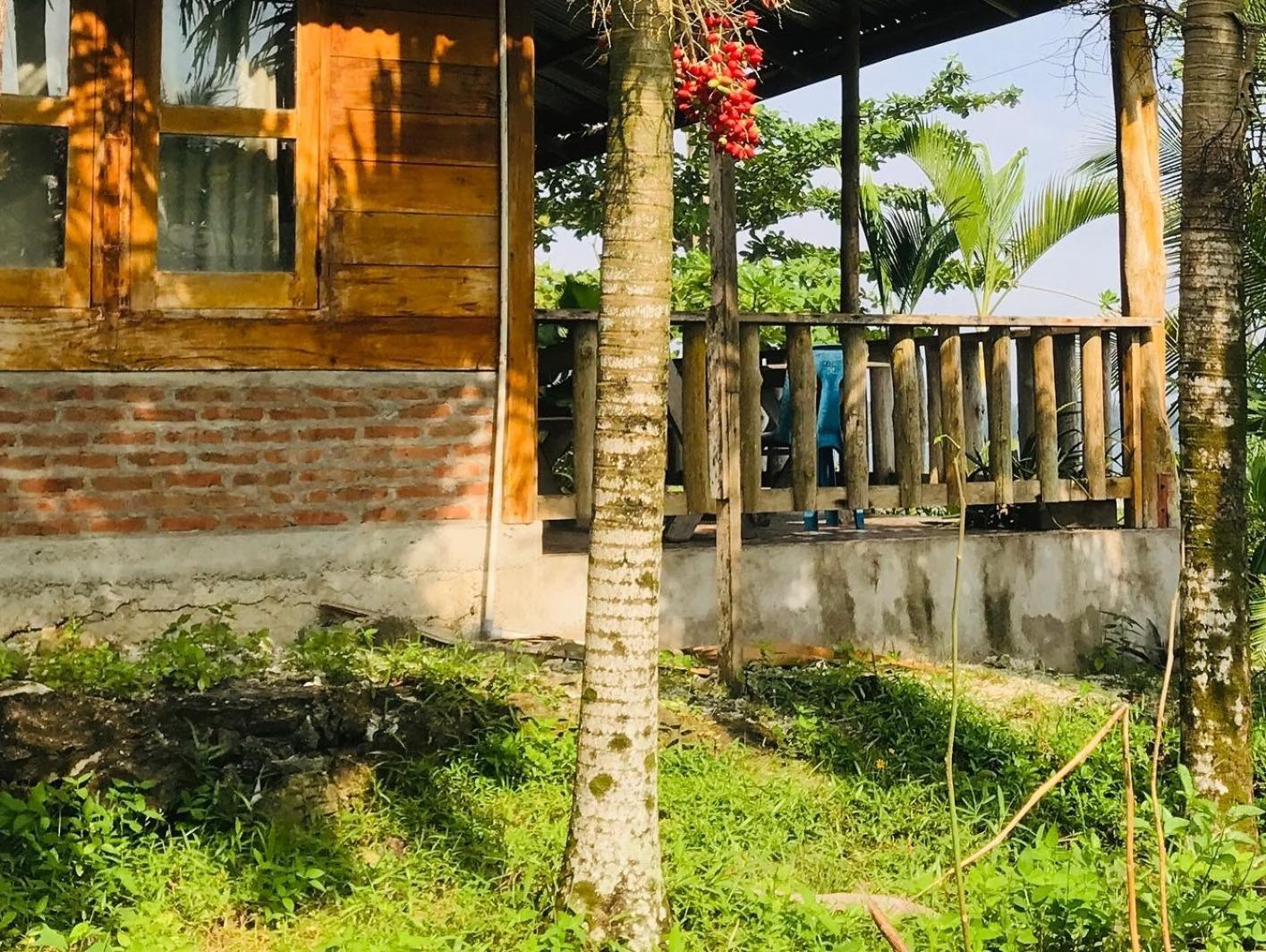 Dolin Cottage Hilibotodane Exterior photo